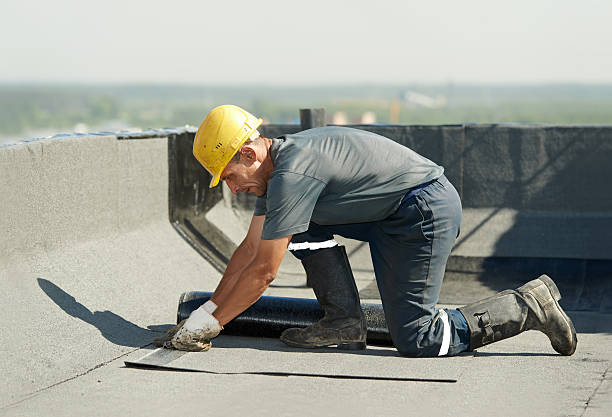 Best DIY Insulation Kits and Guidance in Washington, GA