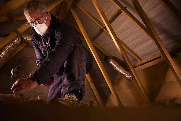 Best Specialized Insulation Services in Washington, GA
